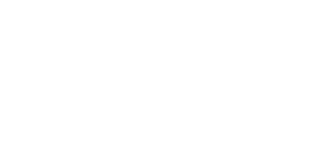 Republic First National white logo